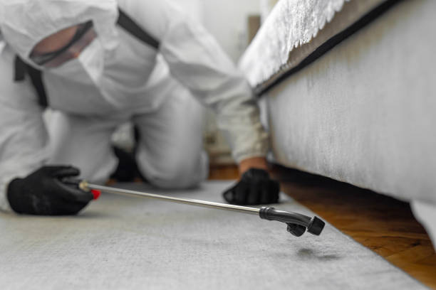 Professional Bed Bug Control technician working in Rock Valley, IA