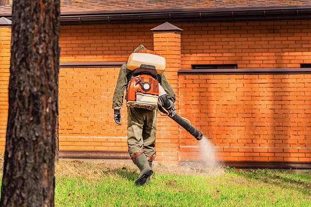 Trusted Fumigation Services service in Rock Valley, IA - Nex Pest Control